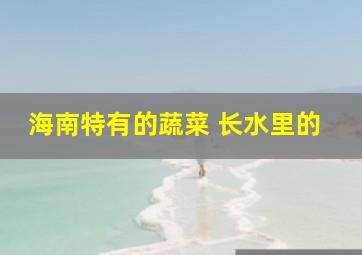 海南特有的蔬菜 长水里的